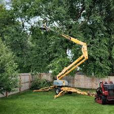 Best Emergency Tree Removal  in Hereford, TX