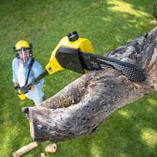 Best Pest Control for Lawns  in Hereford, TX